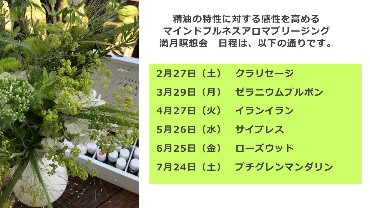 1月29日 マインドフルネス 満月瞑想会